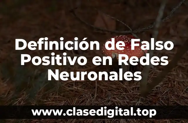 Definición de Falso Positivo en Redes Neuronales