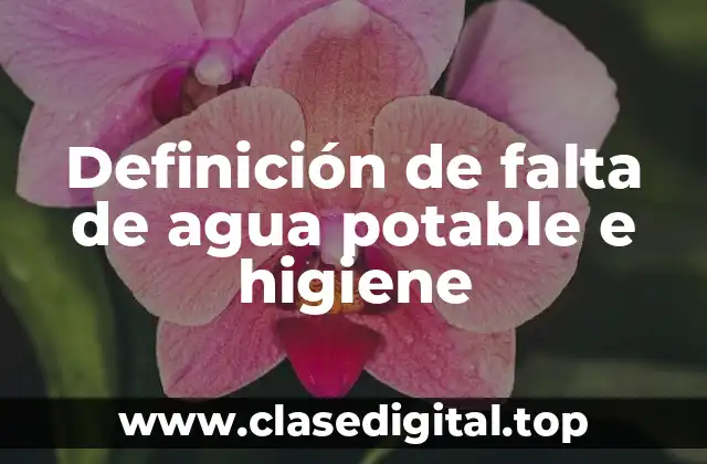 Definición de falta de agua potable e higiene