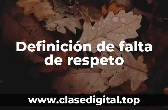 Definición de falta de respeto
