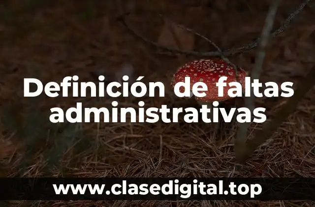 Ejemplos de faltas administrativas