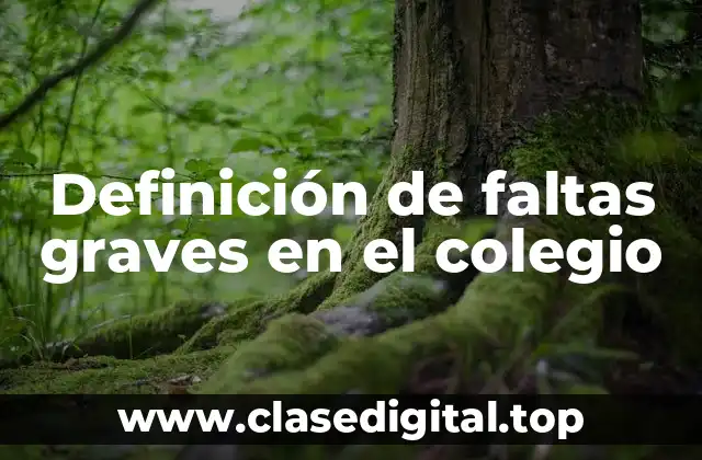 Definición de faltas graves en el colegio