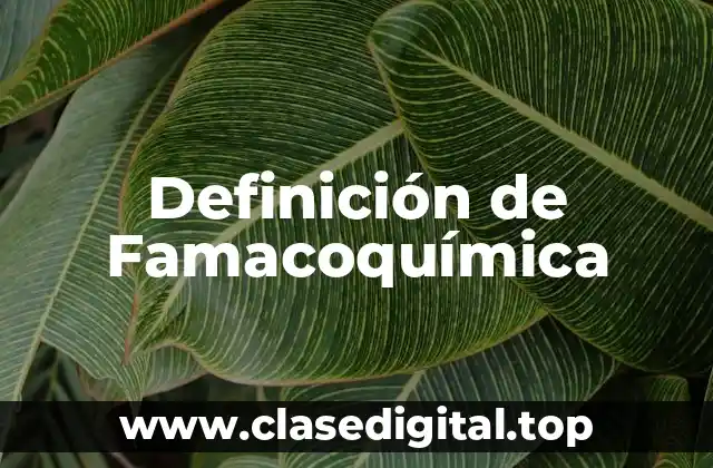 Definición de Famacoquímica