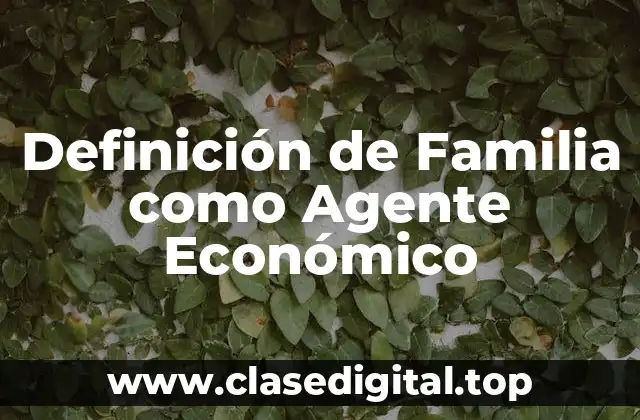 Definición de Familia como Agente Económico