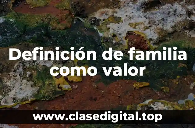 Definición de familia como valor