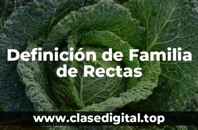 Definición de Familia de Rectas