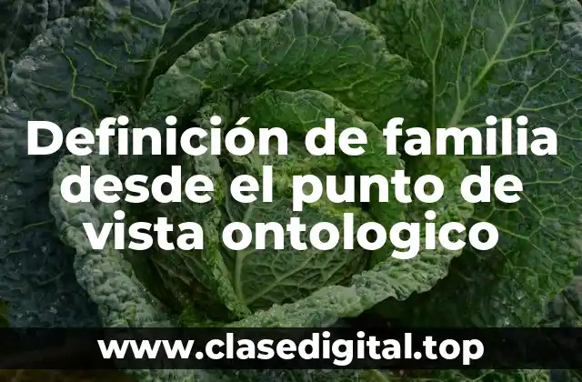 Definición de familia desde el punto de vista ontologico