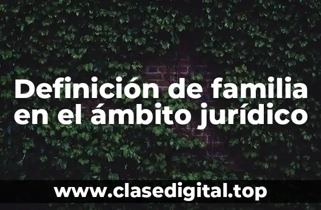 Definición de familia en el ámbito jurídico