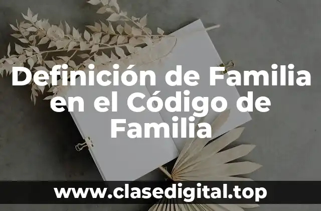 Definición de Familia en el Código de Familia