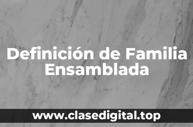 Definición de Familia Ensamblada