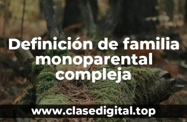 Definición de familia monoparental compleja