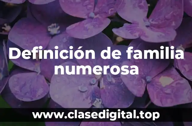 Definición de familia numerosa