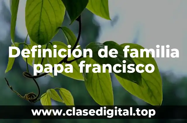 Definición de familia papa francisco