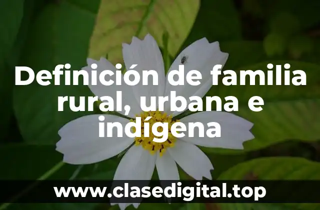 Definición de familia rural, urbana e indígena