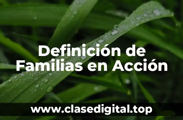 Definición de Familias en Acción