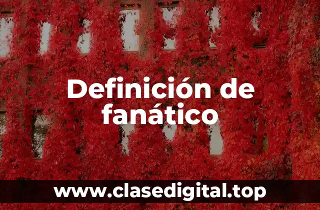 Definición de fanático