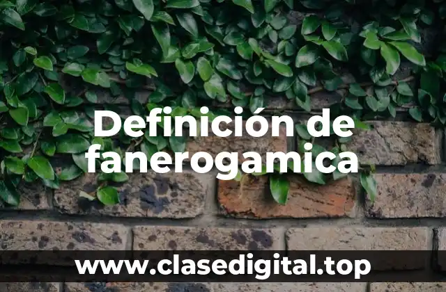 Definición de fanerogamica