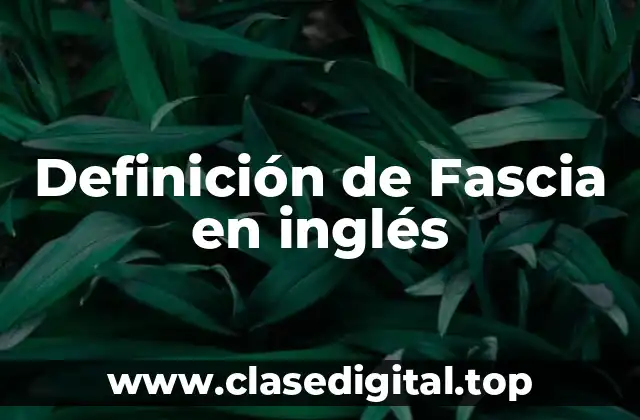 Definición de Fascia en inglés
