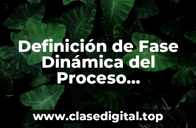 Definición técnica de Fase Dinámica del Proceso Administrativo