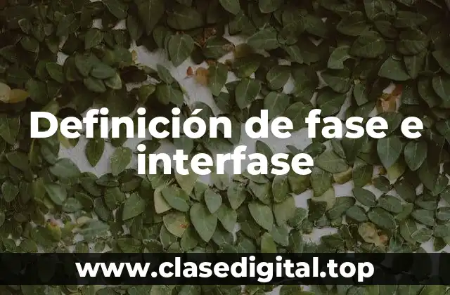 Definición de fase e interfase