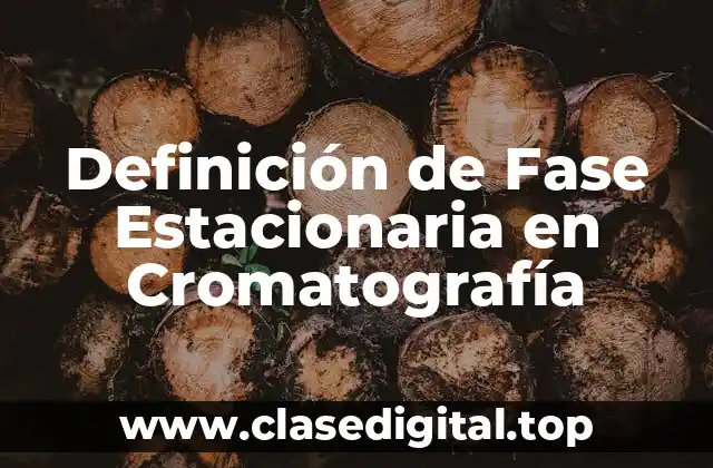 Definición de Fase Estacionaria en Cromatografía