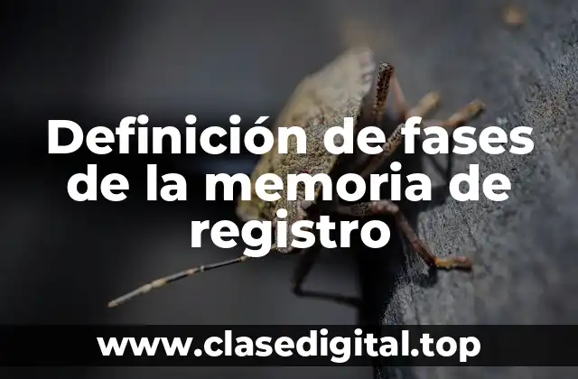Definición de fases de la memoria de registro