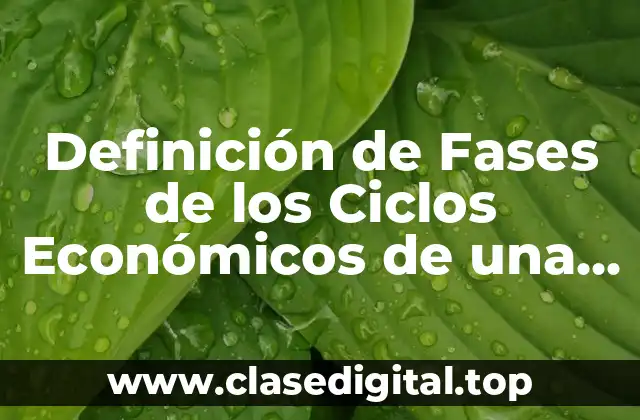 Definición de Fases de los Ciclos Económicos de una Empresa