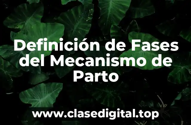 Definición de Fases del Mecanismo de Parto