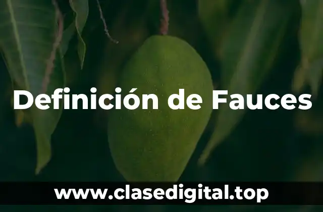 Definición de Fauces