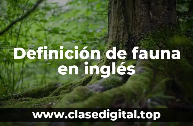 Definición de fauna en inglés