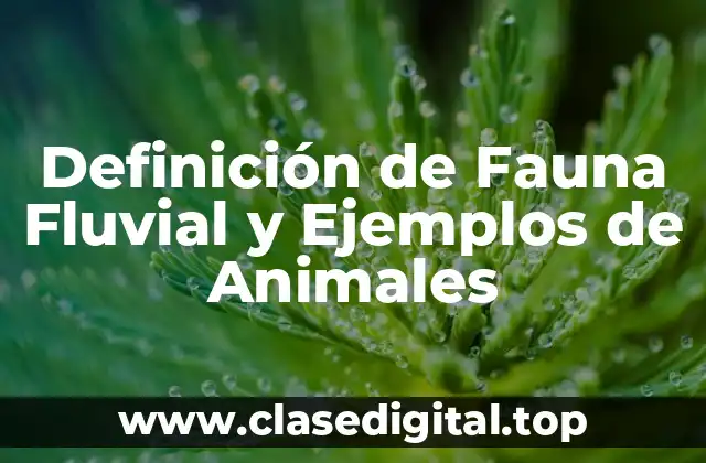 Definición de Fauna Fluvial y Ejemplos de Animales