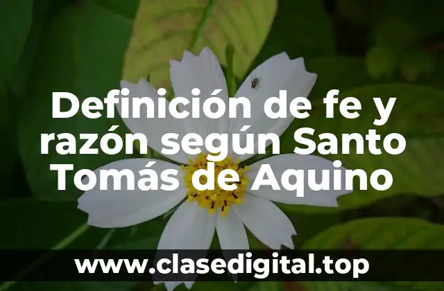 Definición de fe y razón según Santo Tomás de Aquino