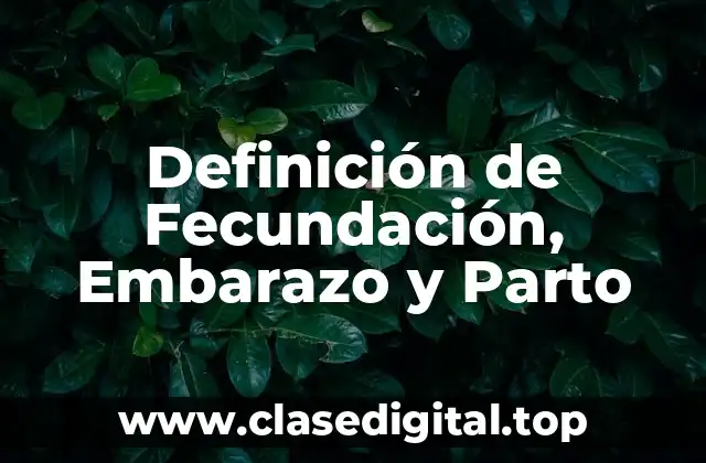 Definición de Fecundación, Embarazo y Parto