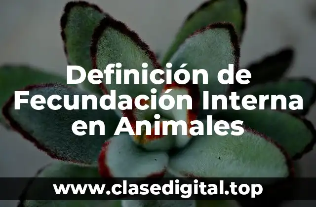 Definición de Fecundación Interna en Animales