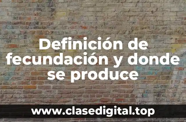 Definición de fecundación y donde se produce