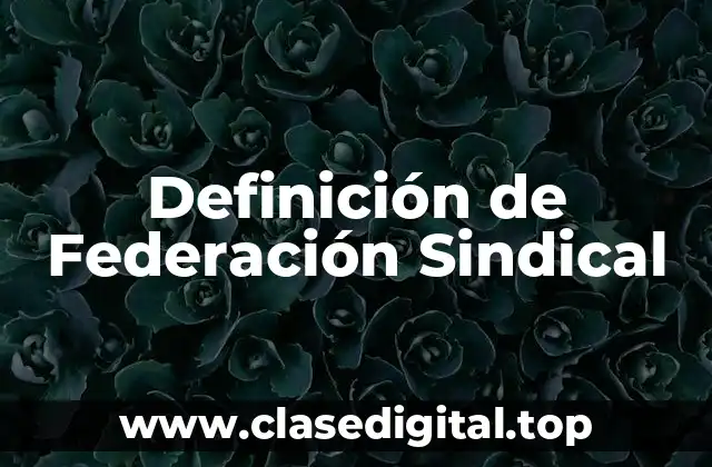 Definición de Federación Sindical