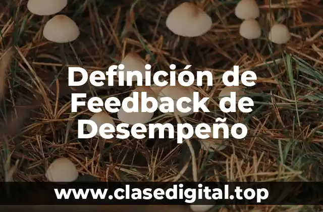 Definición de Feedback de Desempeño