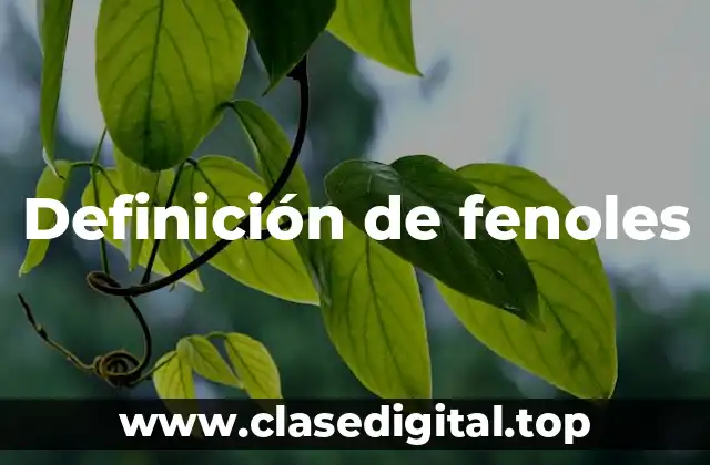 Definición de fenoles