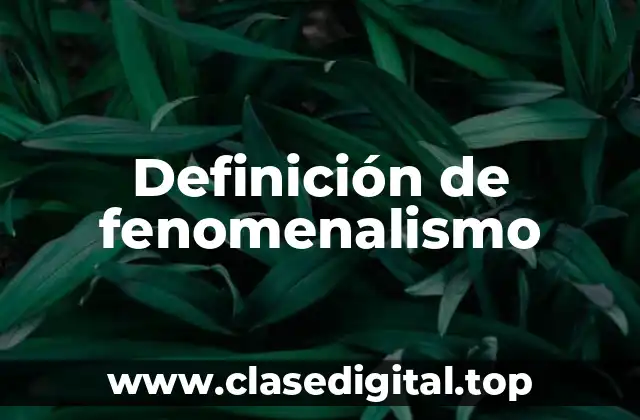Definición de fenomenalismo