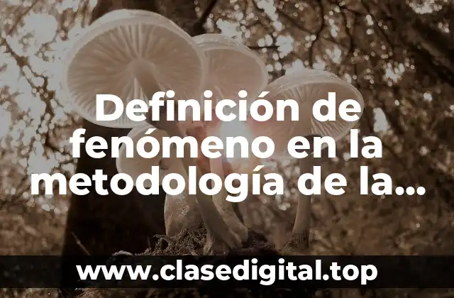 Definición de fenómeno en la metodología de la investigación