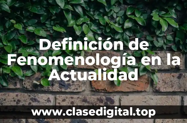 Ejemplos de Fenomenología