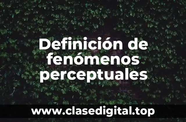 Definición de fenómenos perceptuales