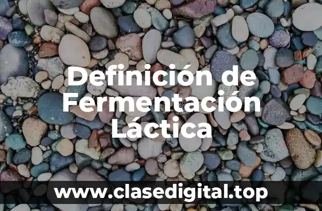 Definición de Fermentación Láctica