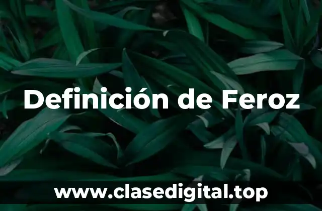 Definición de Feroz