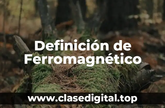 Definición de Ferromagnético