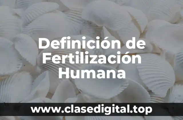Definición de Fertilización Humana