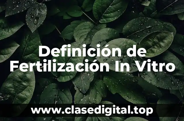 Definición de Fertilización In Vitro