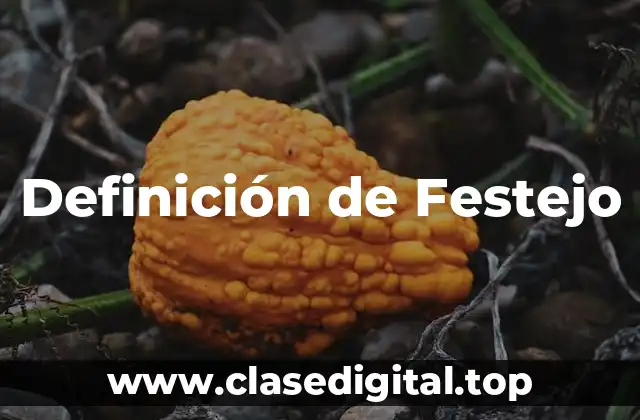 Definición de Festejo