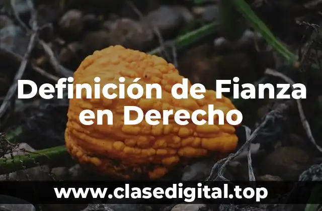 Definición Técnica de Fianza