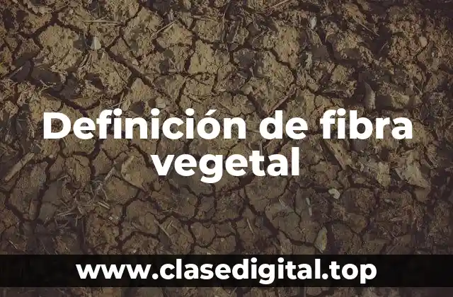 Definición de fibra vegetal
