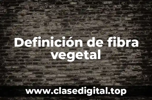 Definición técnica de fibra vegetal